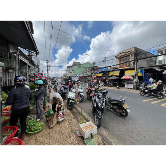 【COFFEE】 VIETNAM LANGBIANG COFFEE PROJECT